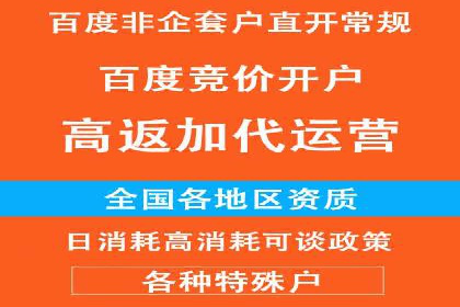 案例剖析：百度推广返点的应用与成效